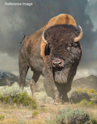 Dustin Van Wechel: Painting Dynamic Wildlife