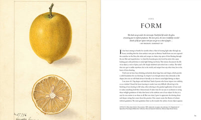 Juliette Aristides: Beginning Drawing Atelier An Instructional Sketchbook Hardcover