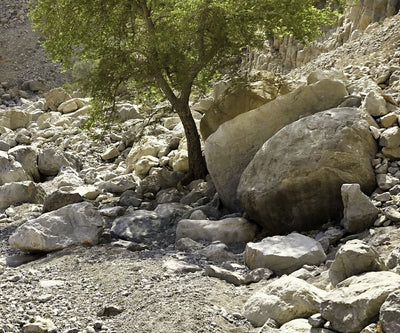 Matt Ryder: Painting Rocks & Sunlight